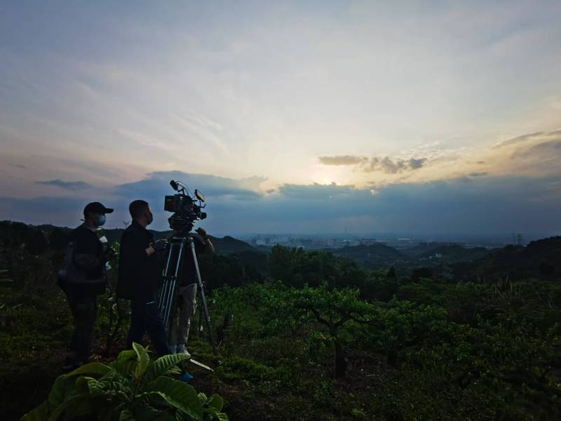 聚焦望城区产品宣传视频拍摄公司，用专业实力铸就品牌传播传奇