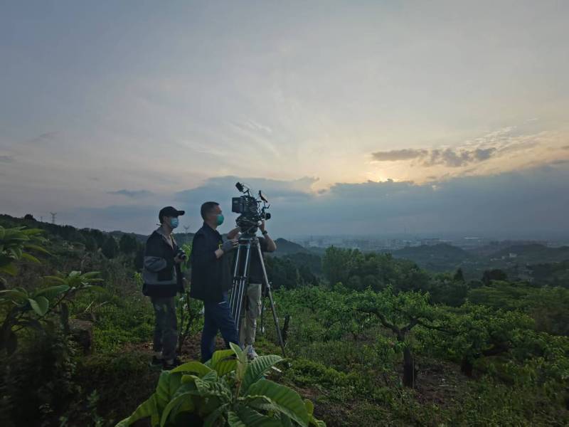 创意破圈！望城区电商产品宣传视频用故事化叙事引爆流量
