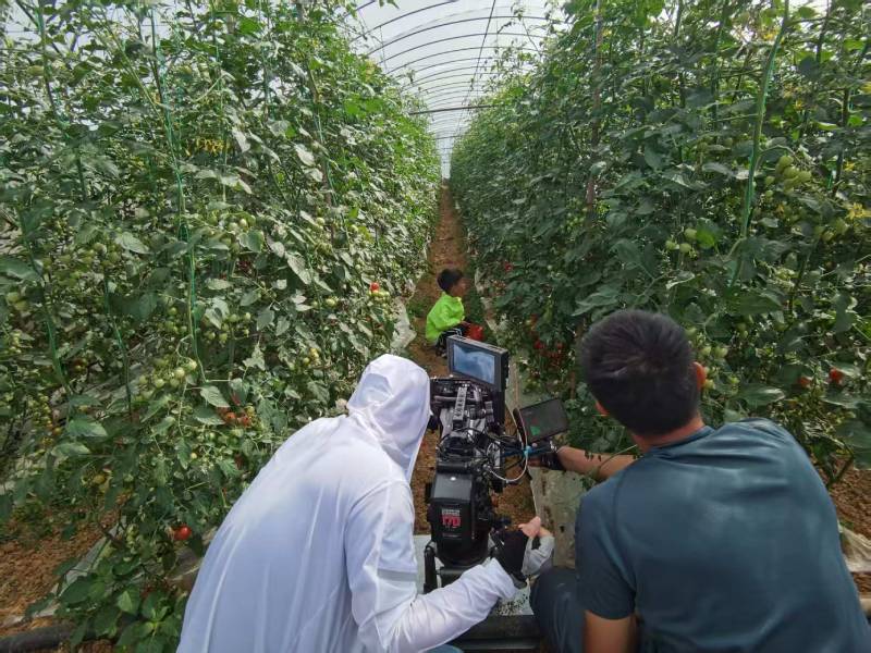 望城区产品宣传视频拍摄公司进阶指南，助力品牌抢占传播高地